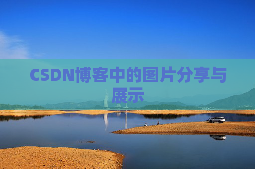CSDN博客中的图片分享与展示